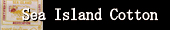 海島綿 シーアイランドコットン生地