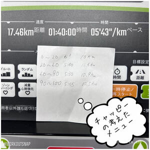 休日の過ごし方はやはり走っておしまい。