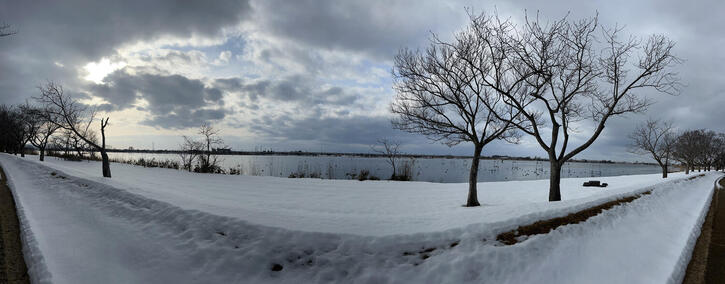 木場潟のパノラマ