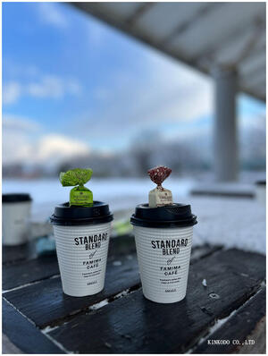 Albeniの新入荷のタイのご紹介と極寒の中の朝練。