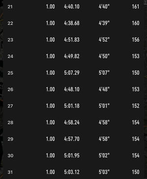 大阪マラソン完走記（５）