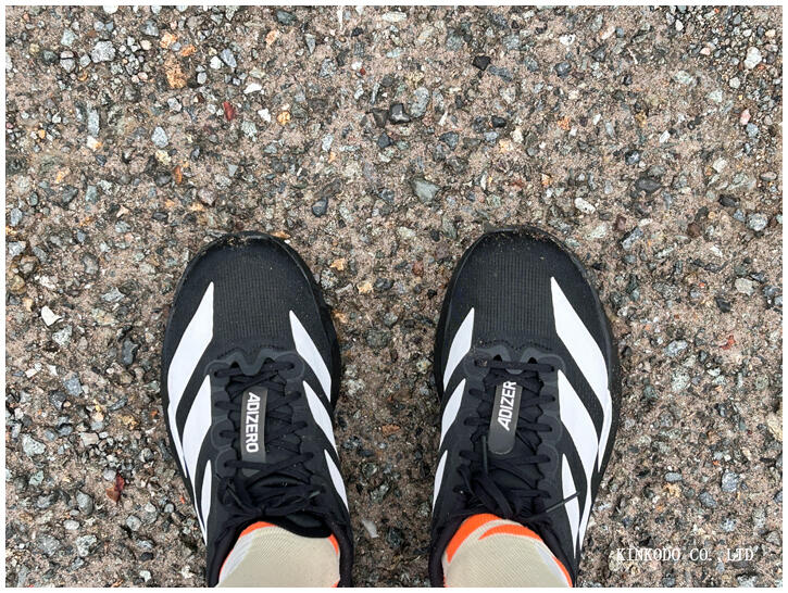 本日のランニングコース・心拍などの記録