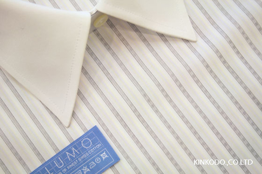 アルモ１７０番グレーストライプ