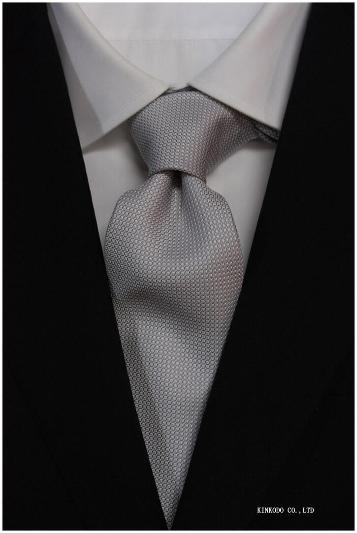 albeni_silver_tie1.jpg