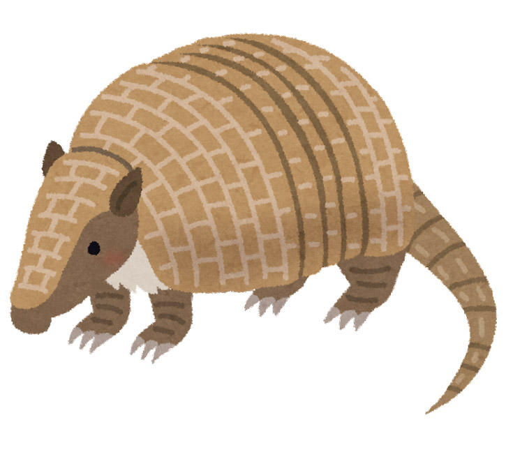 animal_armadilloのコピー.jpg