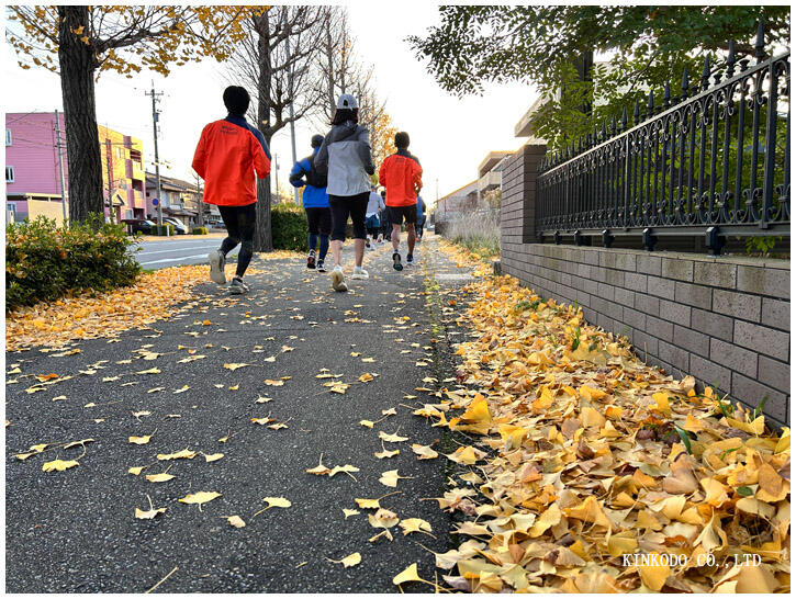 イチョウ並木ラン