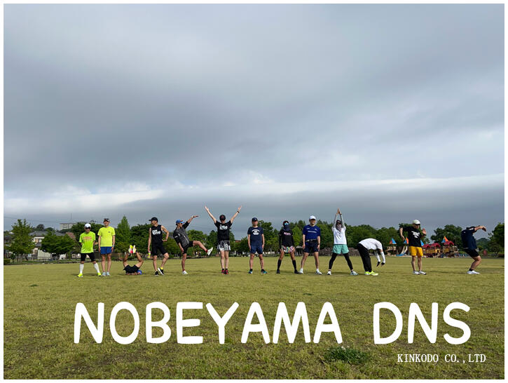 nobeyamaDNS.jpg