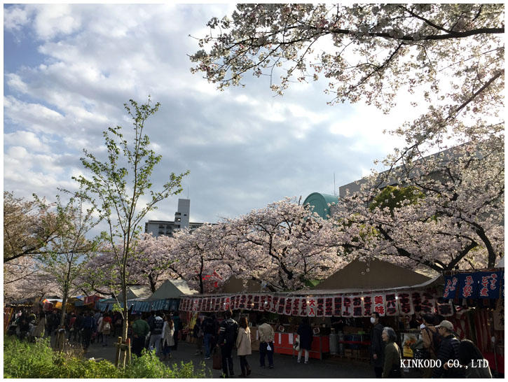 osakahanami14.jpg