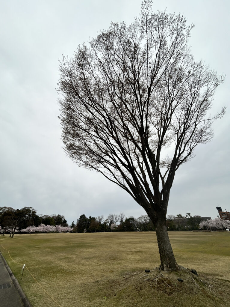 金沢城公園