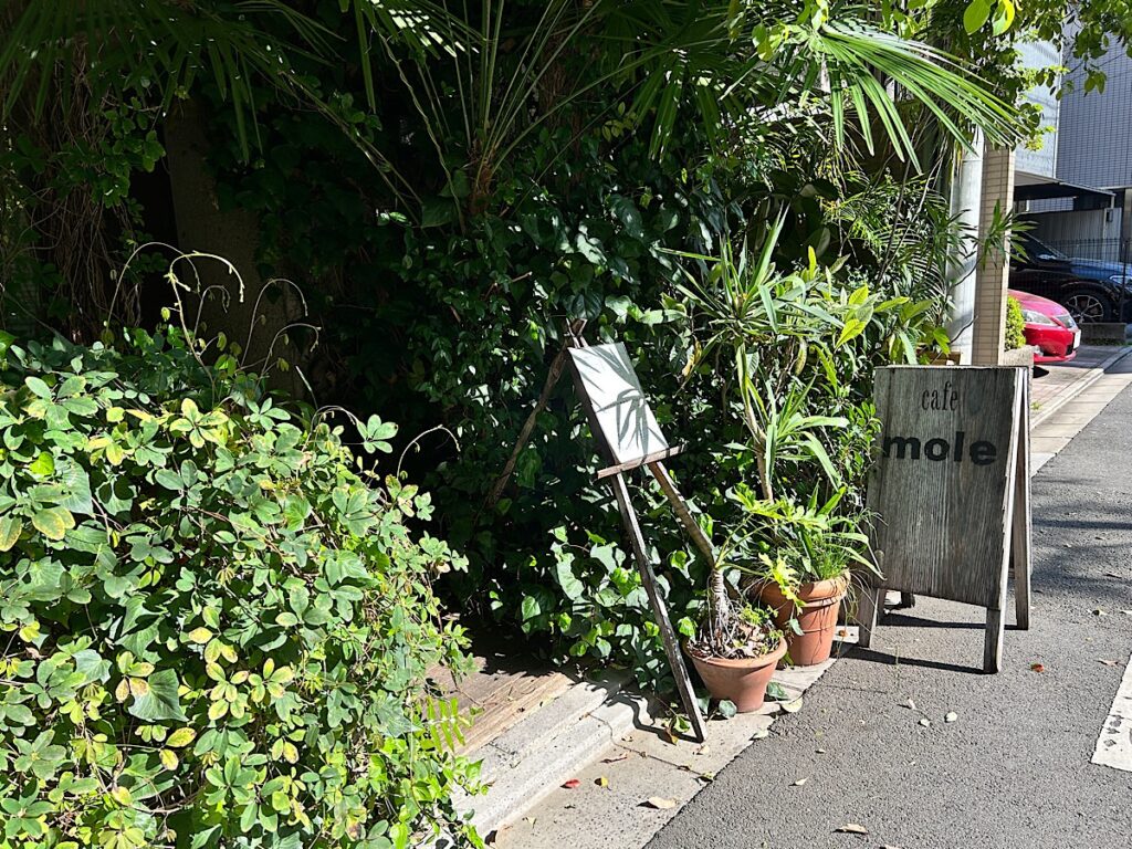 カフェmole