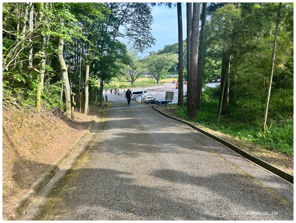 こまつクロスカントリーコース最初の上り
