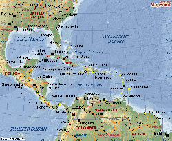 海島綿 シーアイランドコットン生地 border=