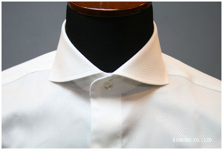 カッタウェイカラー（2）制作例（正面）