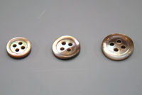 茶蝶貝 2mm サイズ