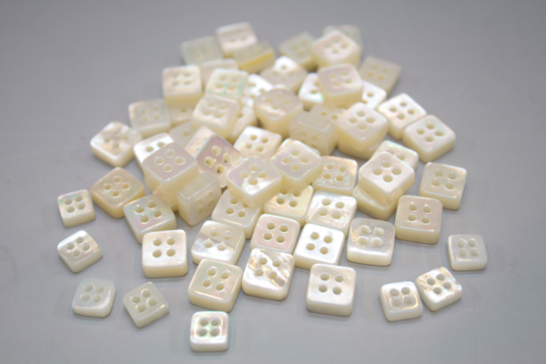 白蝶貝 スクエア