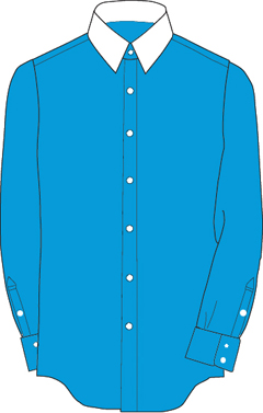 クレリック2：衿のみ白の生地