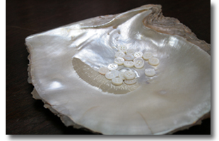 白蝶貝ボタン（参考）