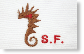 タツノオトシゴ（約19mm）